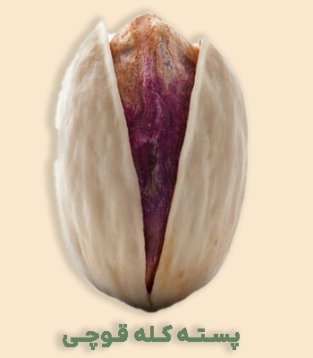 پسته کله قوچی